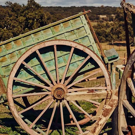 Sierra Jayona Gospodarstwo wiejskie *